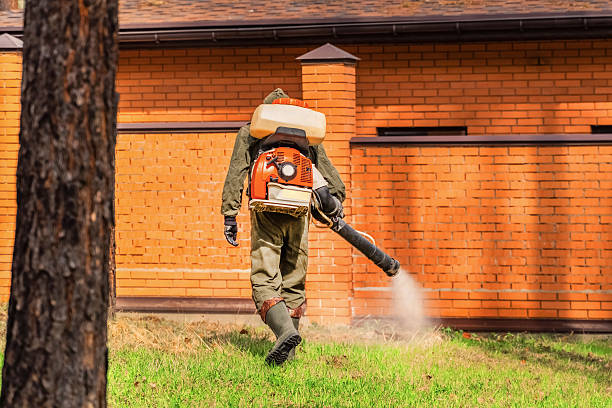 Bed Bug Clearance Verification and Documentation in Kimberling City